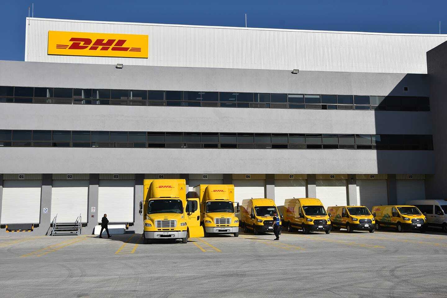 dhl-perro-veracruz