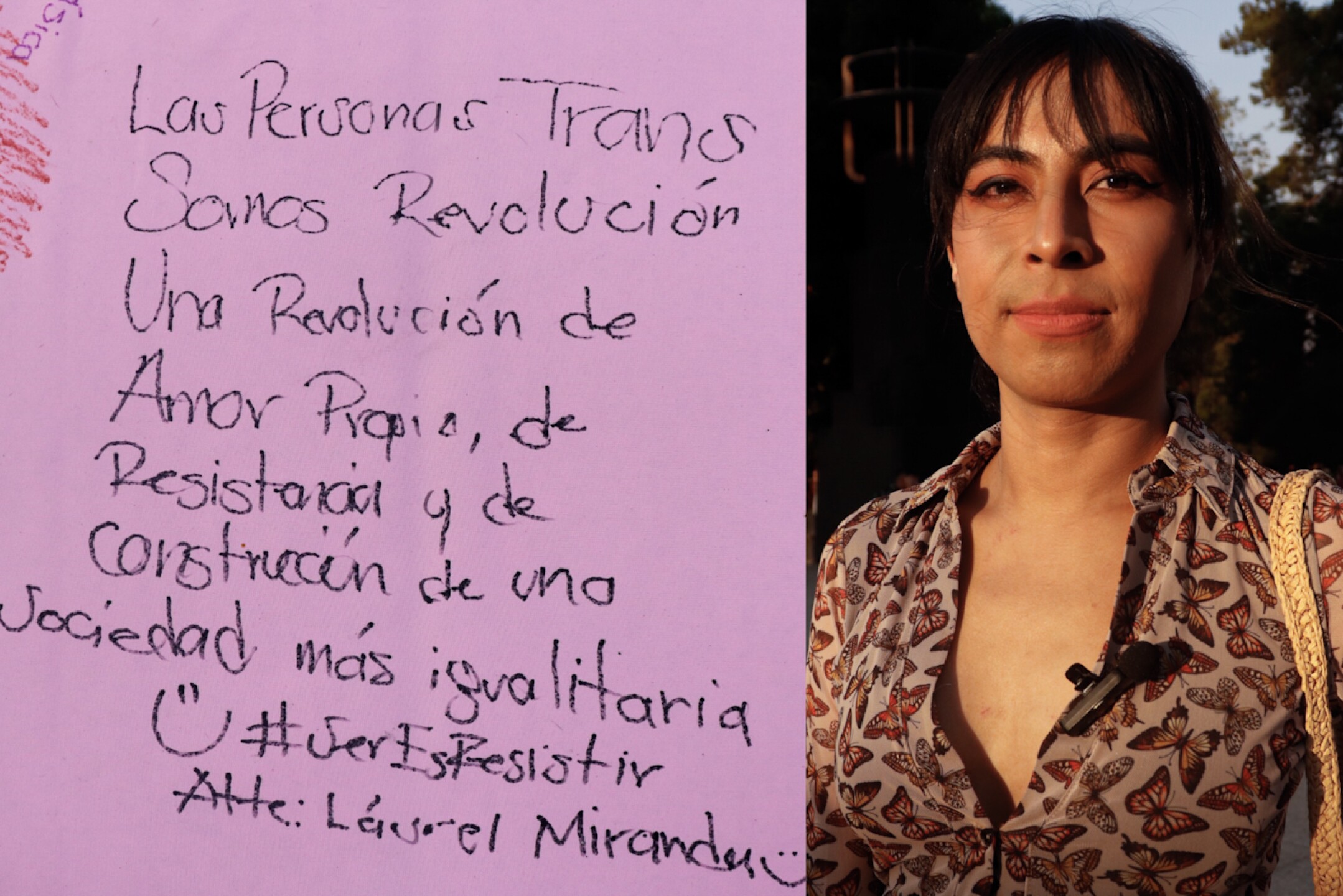trans-bandera-comunidad-laurel-miranda-cdmx