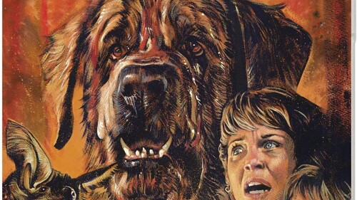 cujo-stephen-king.jpg