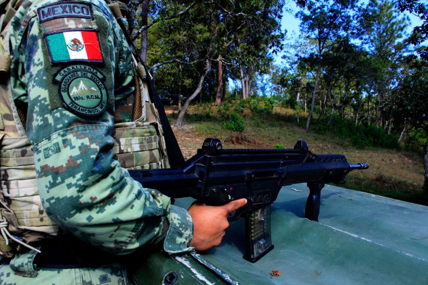 Fue destruida una hectárea de plantío de coca, el ejército encargado del operativo señaló que este año ellos han destruido más de 70 en el estado de Guerrero.