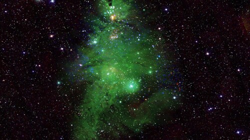 Nasa árbol de navidad