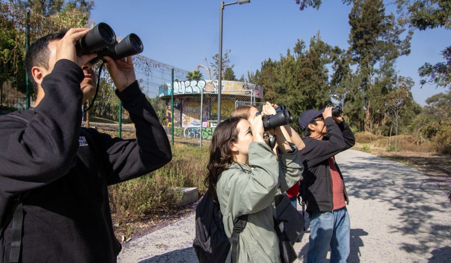 Bosque de Chapultepec Talleres.jpg