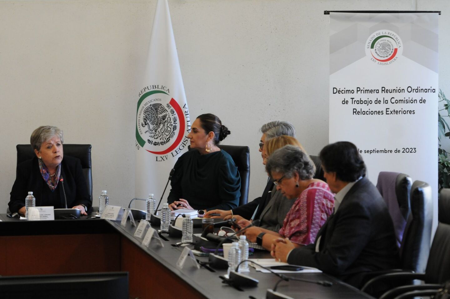 Alicia Bárcena Ratificación Bárcena SRE Senado (1)