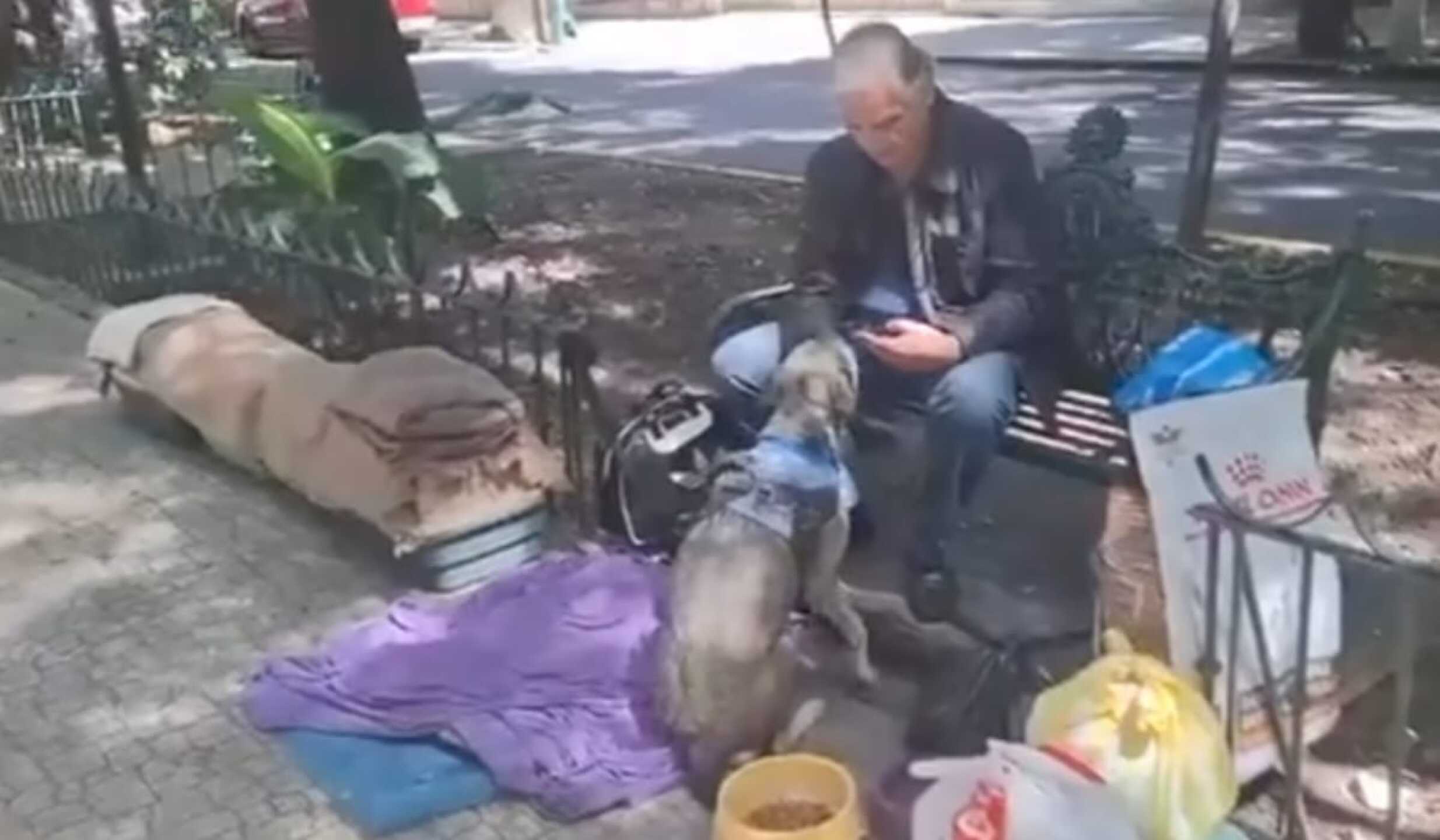 WhatsApp Image 2025-10-20 at 9.03.29 PM.jpeg