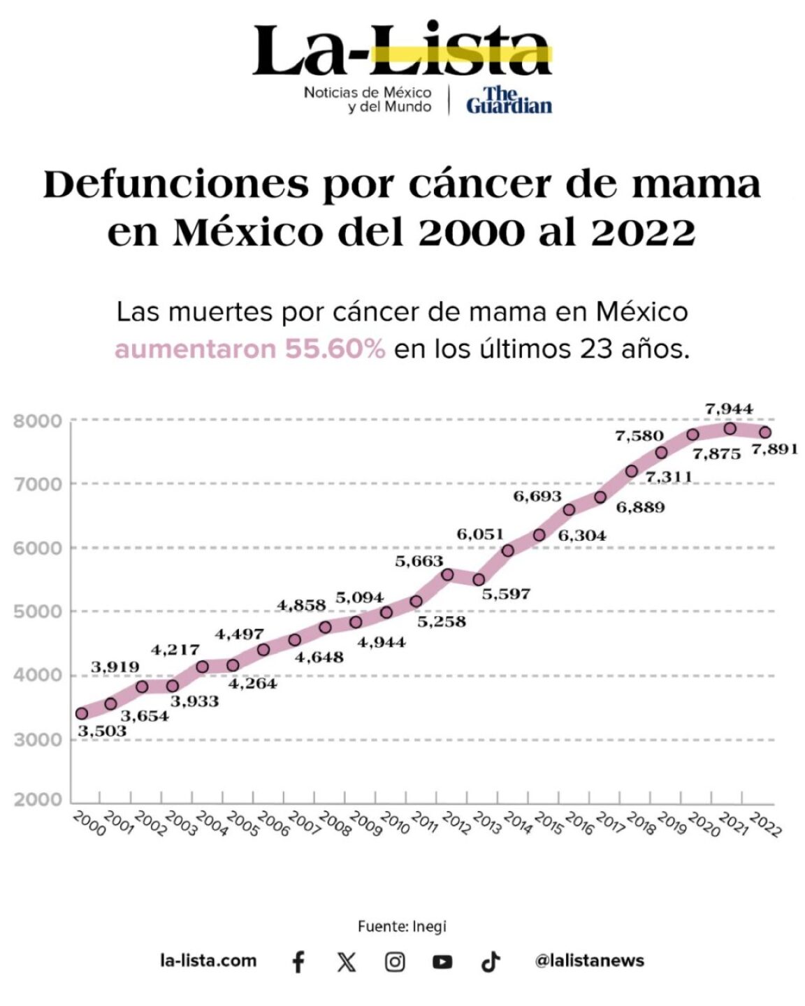 defunciones-cancer-de-mama-1024x1280