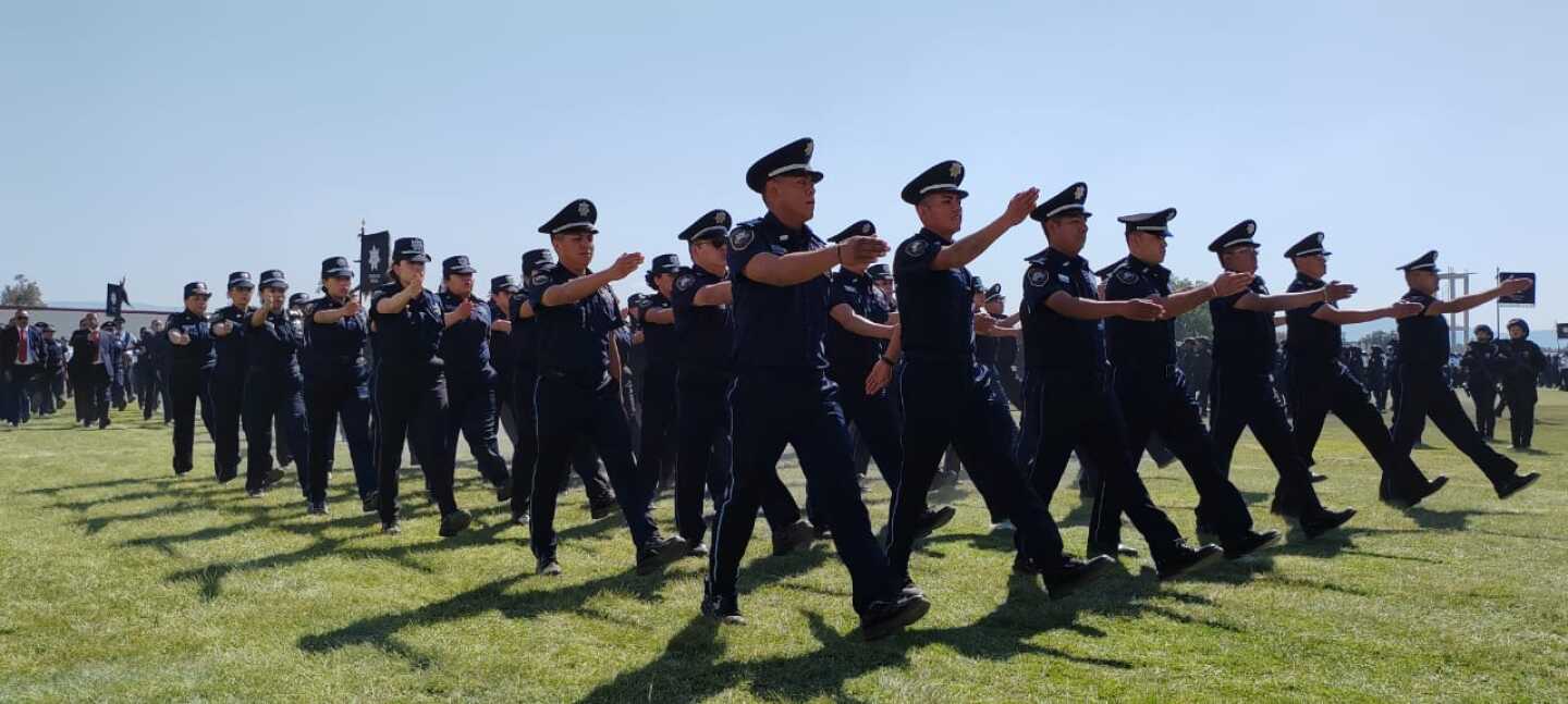 Servicio-de-proteccion-federl