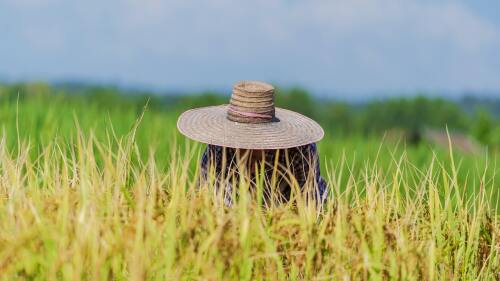 acuerdo exporacion granos ucrania mar negro rusia