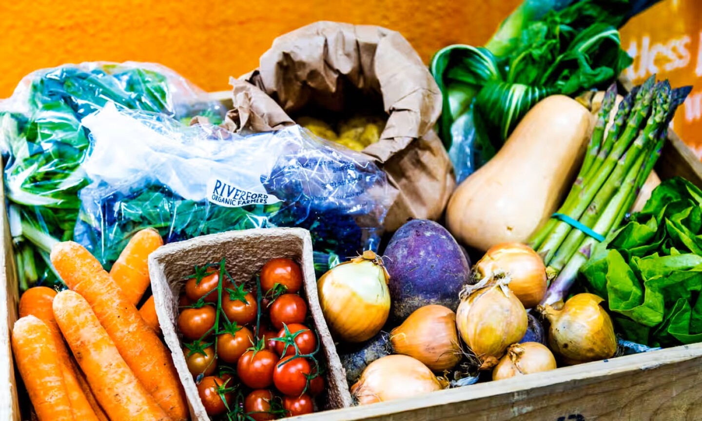 la dieta vegana reduce masivamente los daños medioambientales