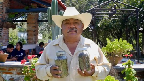 mariguana_legalización_méxico