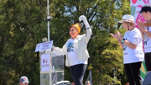 clara brugada box.jpg