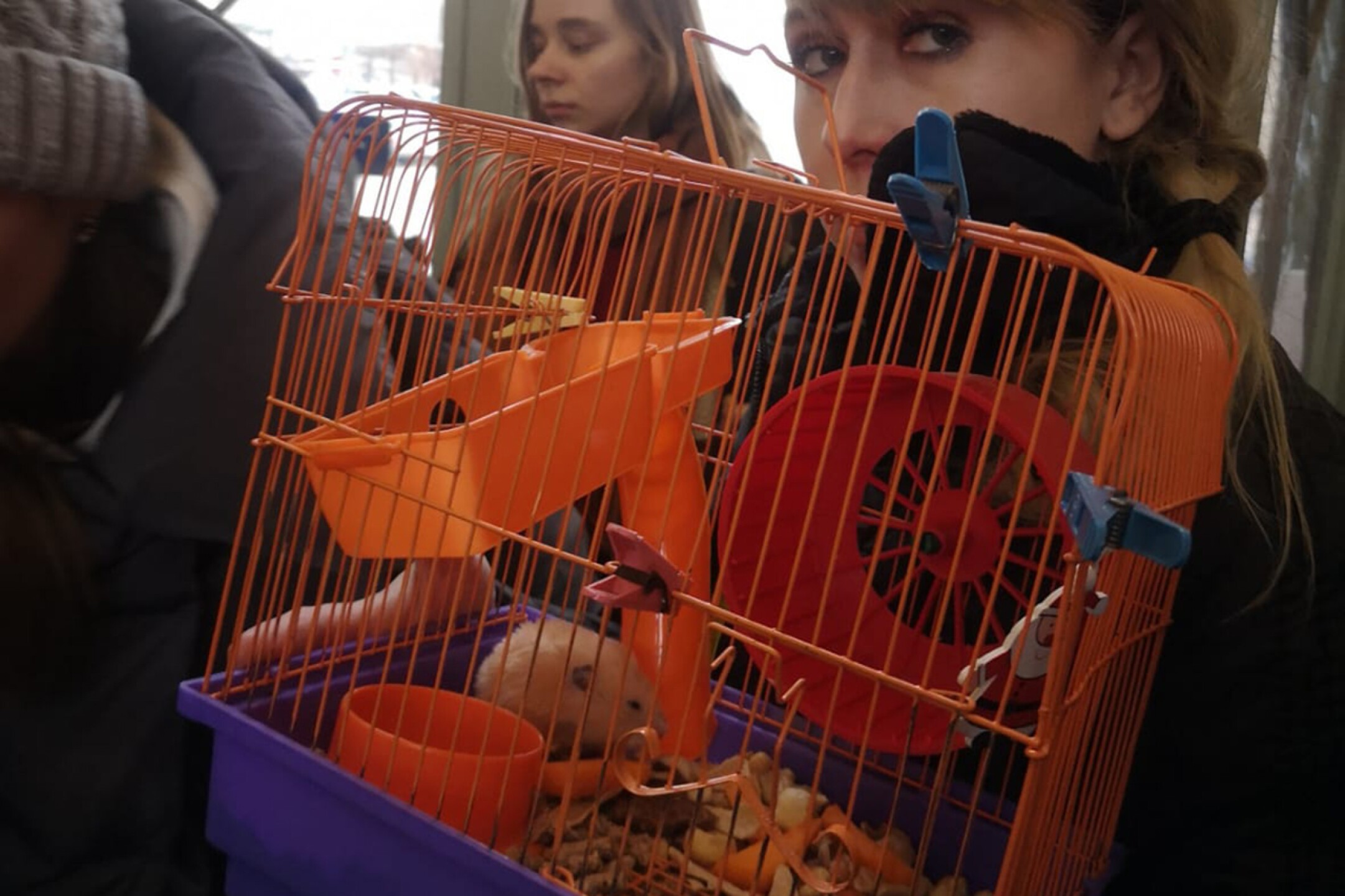 mascotas-guerra-ucrania-rusia-rescate-13