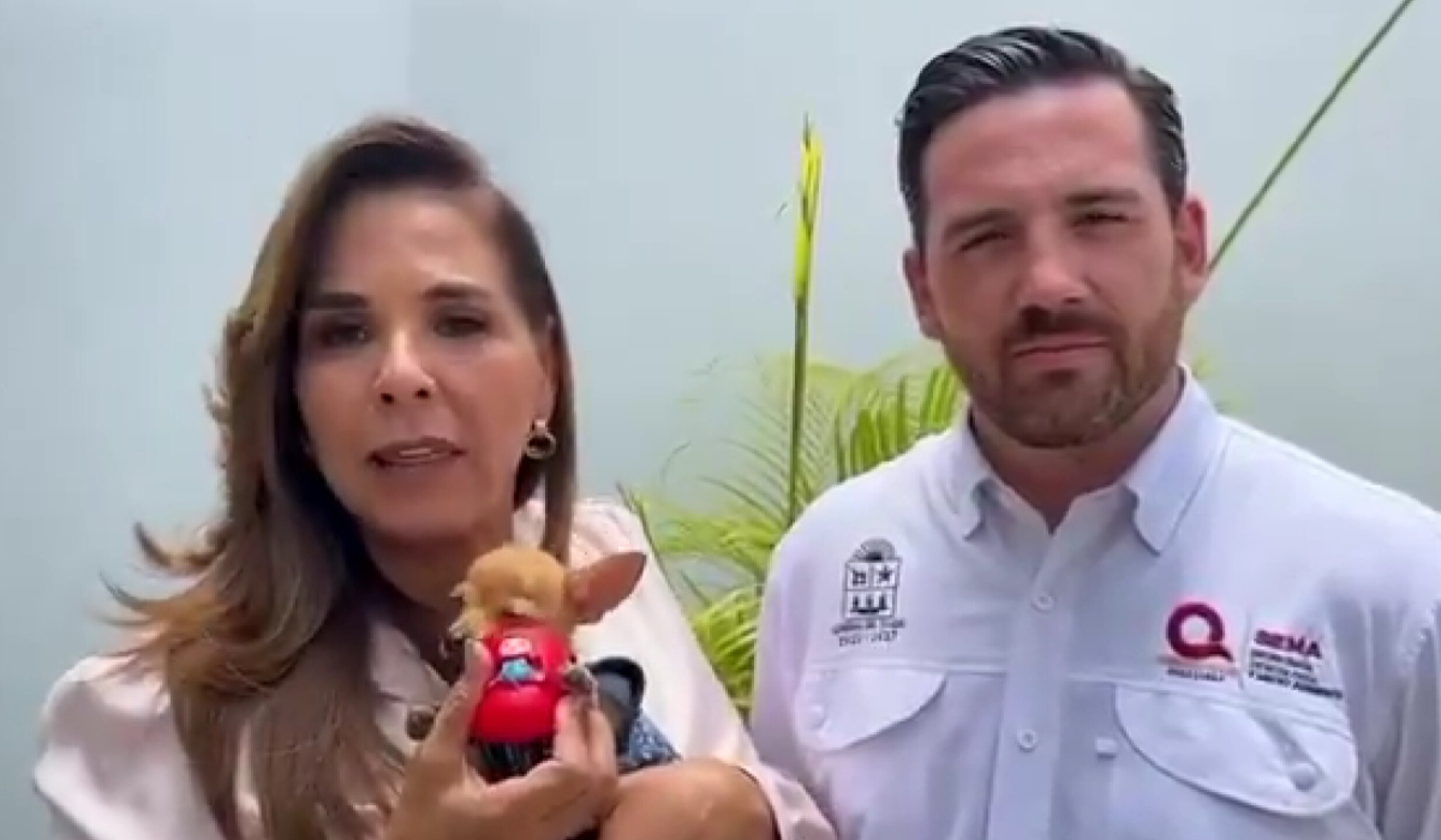 mara lezama perrito osito.jpg