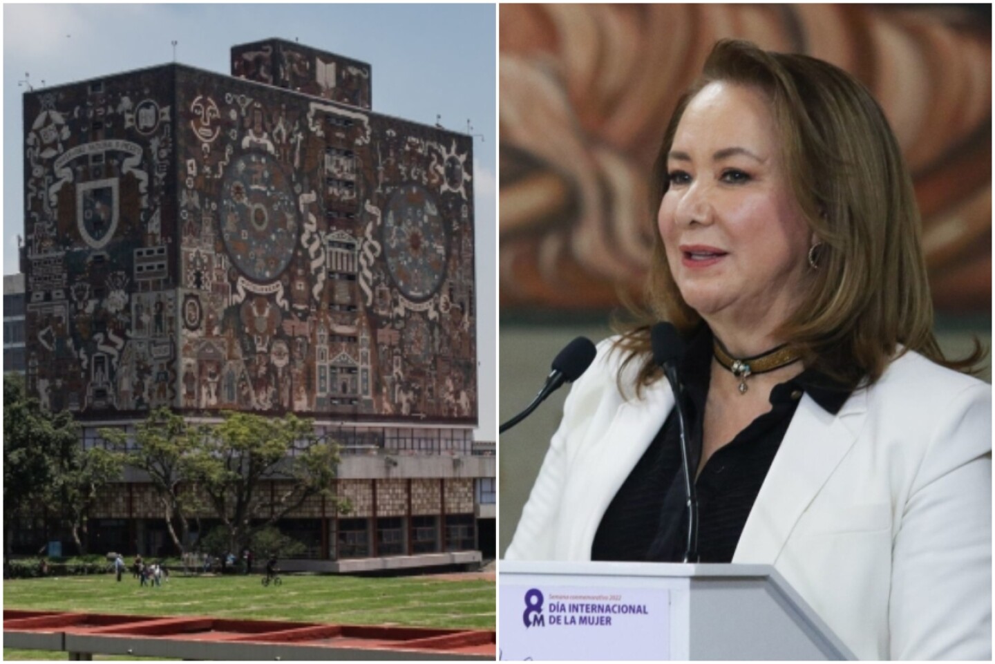 unam-yasmin-esquivel-tesis
