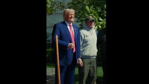 Donald Trump.jpg