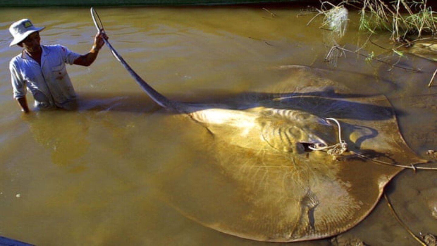 pescadores 2