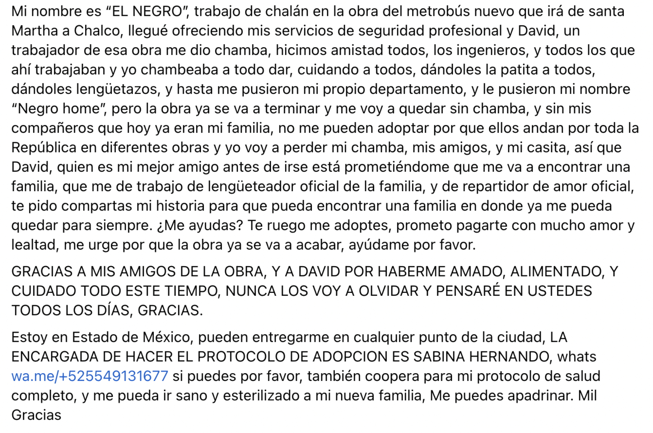 Historia El Negro del metrobús