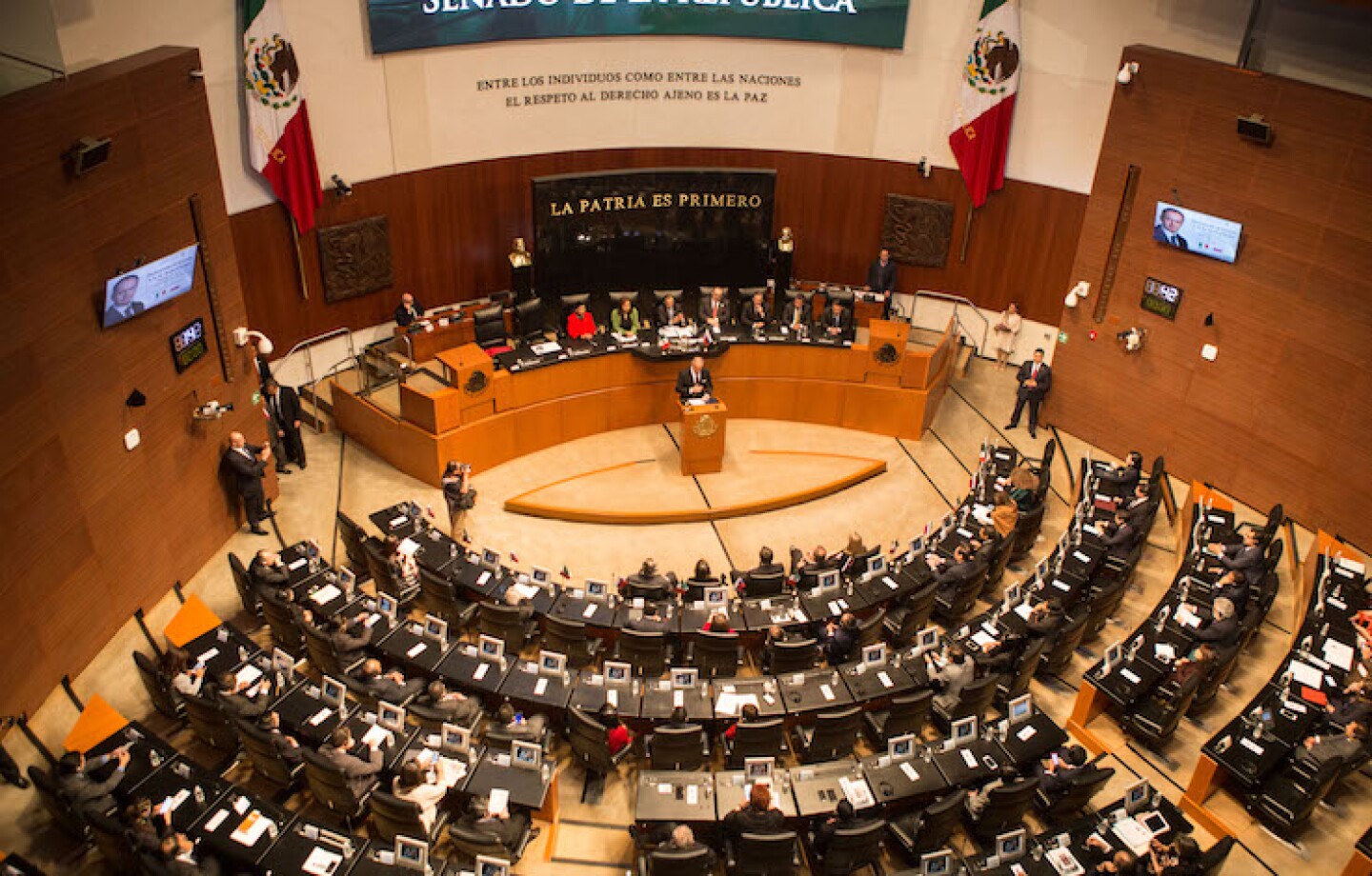 senado