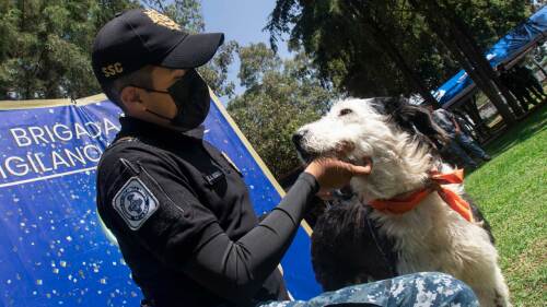 Aniversario de la Brigada de Vigilancia Animal