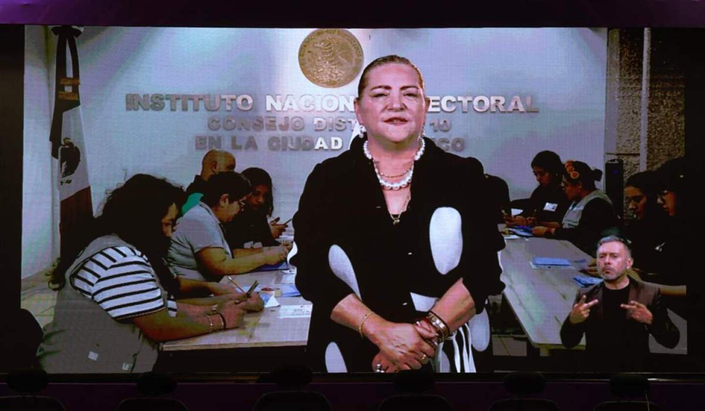 guadalupe-taddei-ine-resultados-eleccion-judicial.jpg