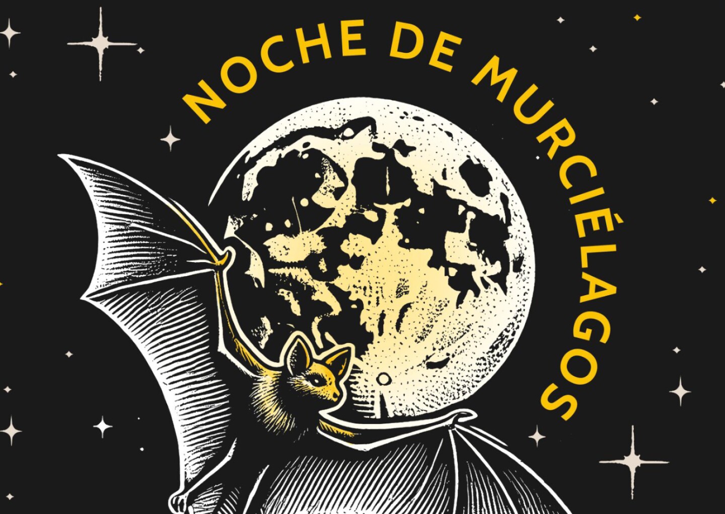 Noche de murciélagos