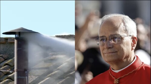 robert prevost nuevo papa leon xiv.jpg