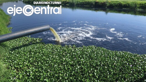 2-Promo-Portada-910-Las-especies-en-las-desembocaduras-de-los-ríos-están-contaminadas