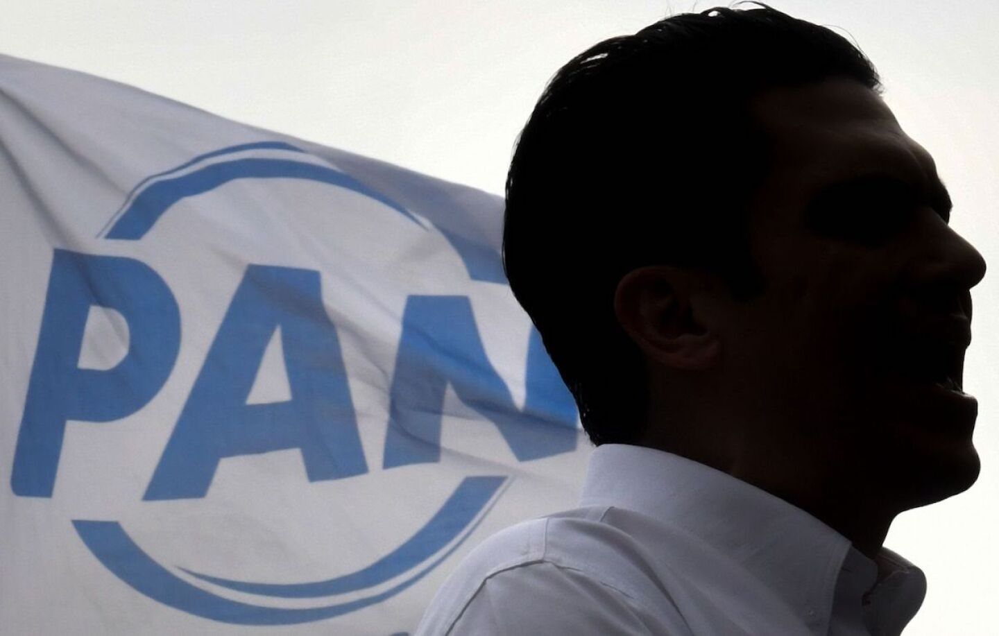 Marcha Relanzamiento PAN