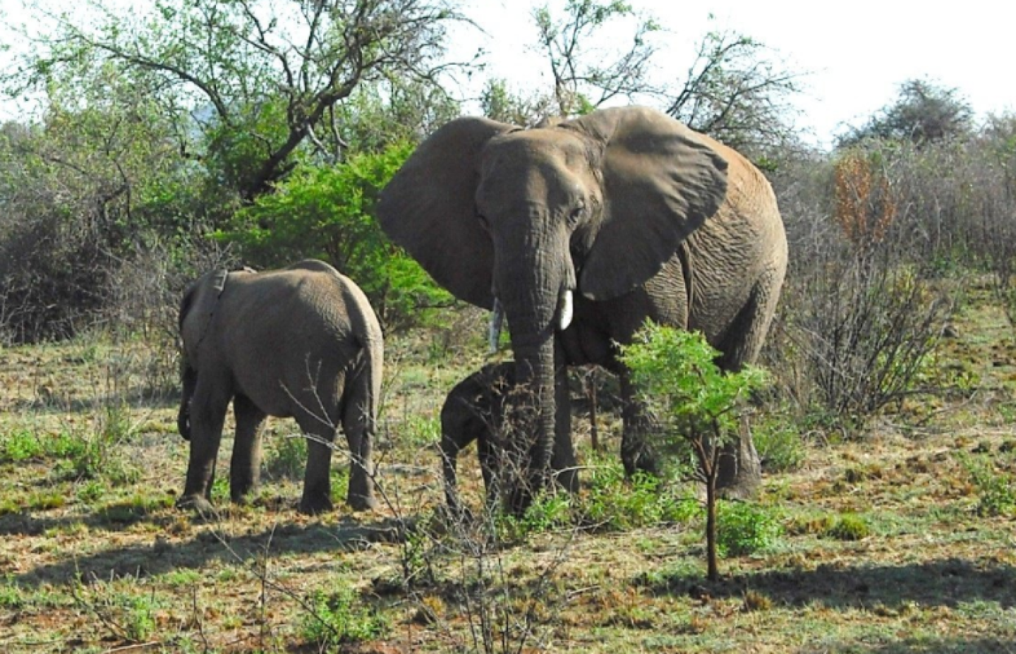 Captura de pantalla 2017-05-09 a la(s) 15.05.11