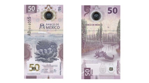 Premian a billete mexicano