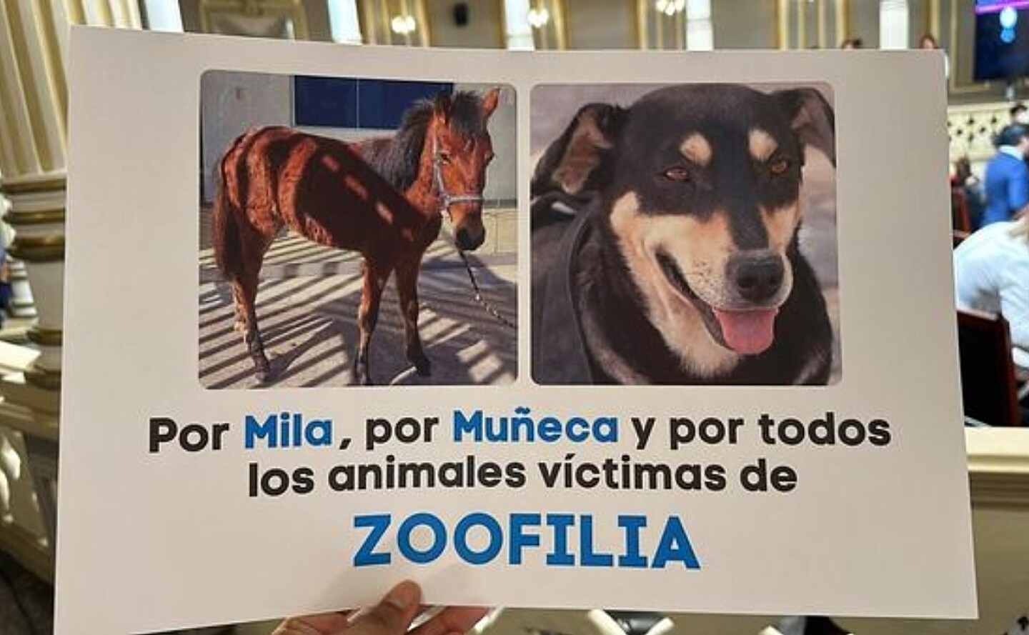 puebla-zoofilia