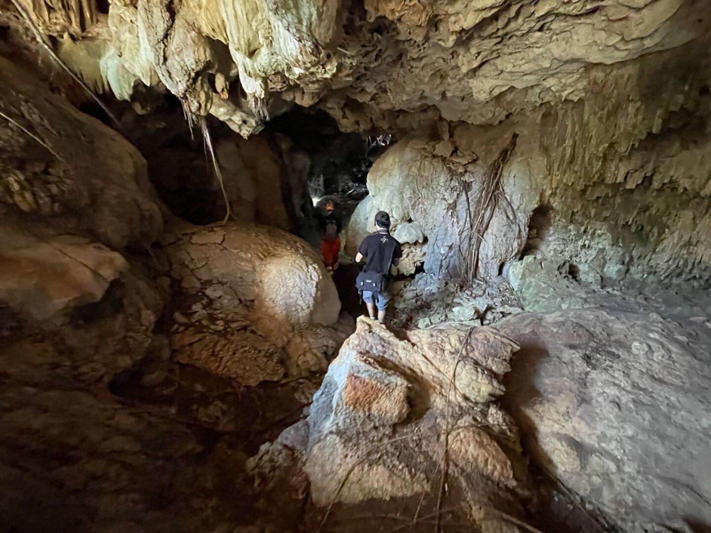 A lo largo de la obra del tramo 5 del Tren Maya que recorrerá Playa del Carmen, Quintana Roo, se observan cavernas y cenotes.