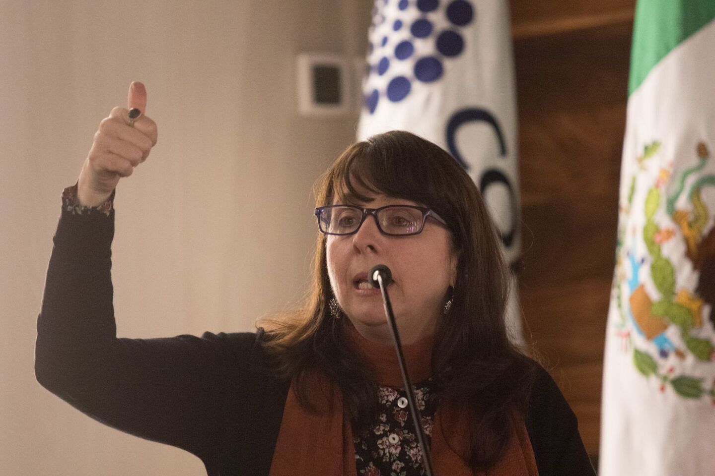 CIUDAD DE MÉXICO, 05FEBRERO2019.-  María Elena Álvarez-Buylla Roces, directora del Consejo Nacional de Ciencia y Tecnología (Conacyt), presentó su plan Nacional de Ciencia y Tecnología. FOTO: MOISÉS PABLO /CUARTOSCURO.COM