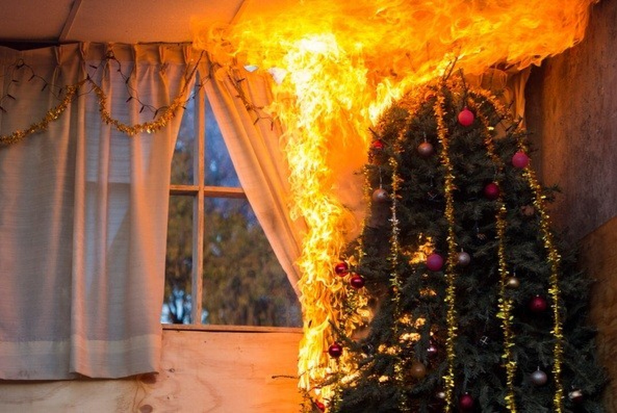 ¿Existe realmente el espíritu navideño? Científicos encuentran el ...