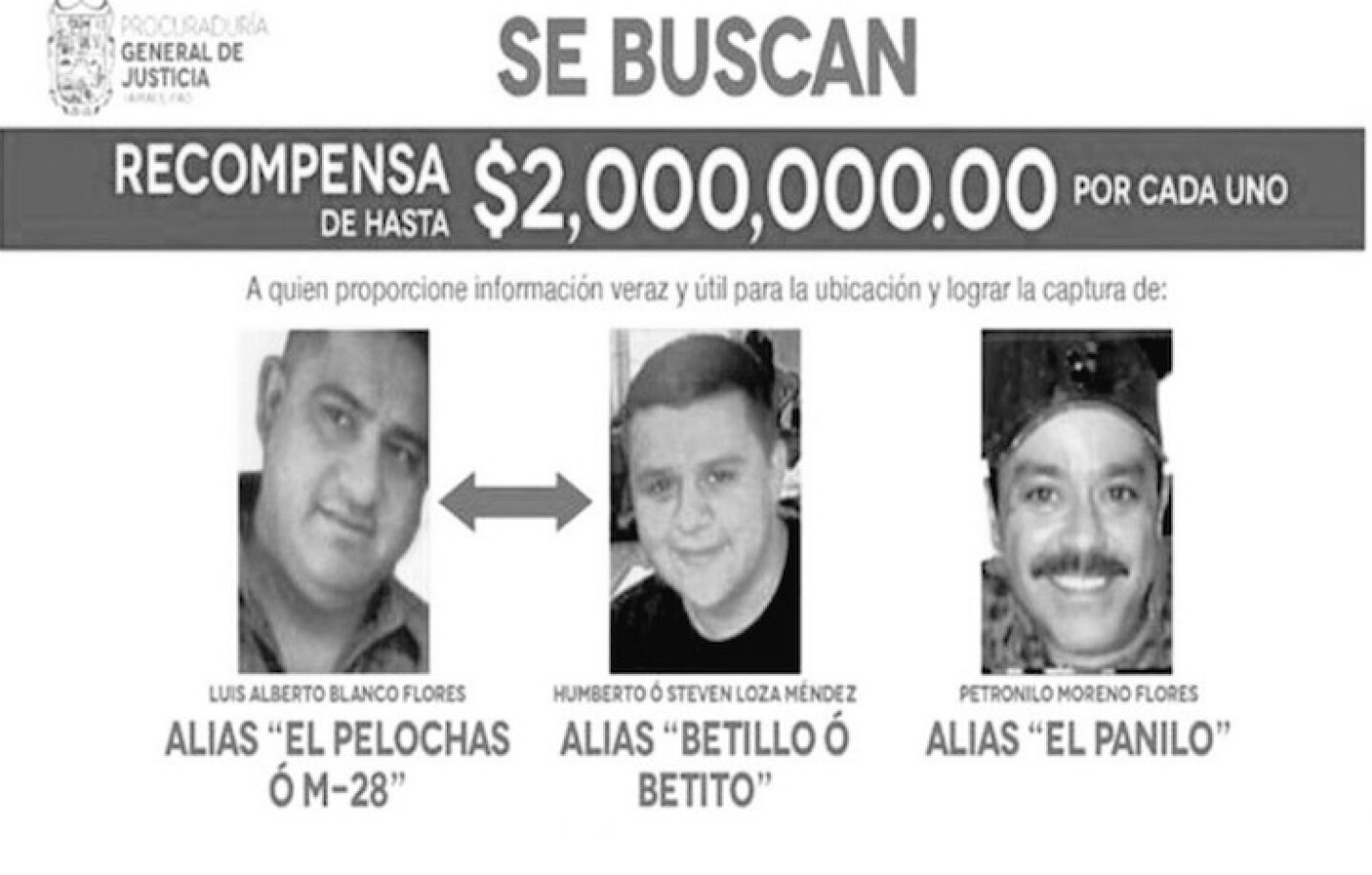 pelonchas-carteldelgolfo-tam