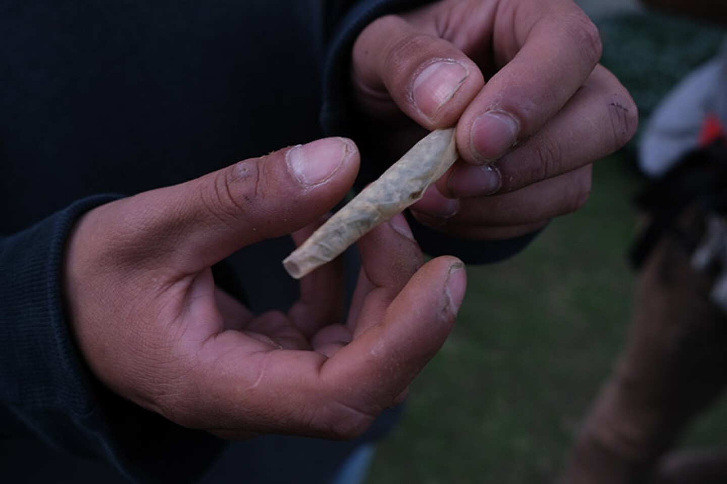 Activistas del Movimiento Cannabico Mexicano se manifestaron para sembrar ocho plantas de marihuana y protestar para la legalización de la planta, el cultivo personal sin fines de lucro y el uso en espacios públicos.