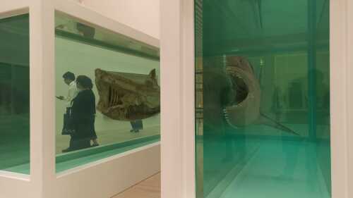 damien_hirst_museo_jumex_0