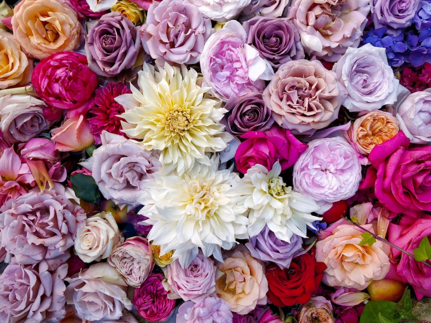 feria-de-las-flores-san-angel-cdmx-2023-programa-oficial