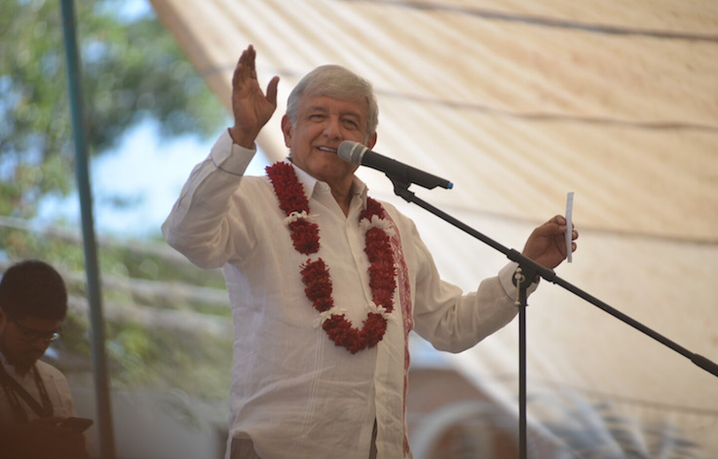 amlo