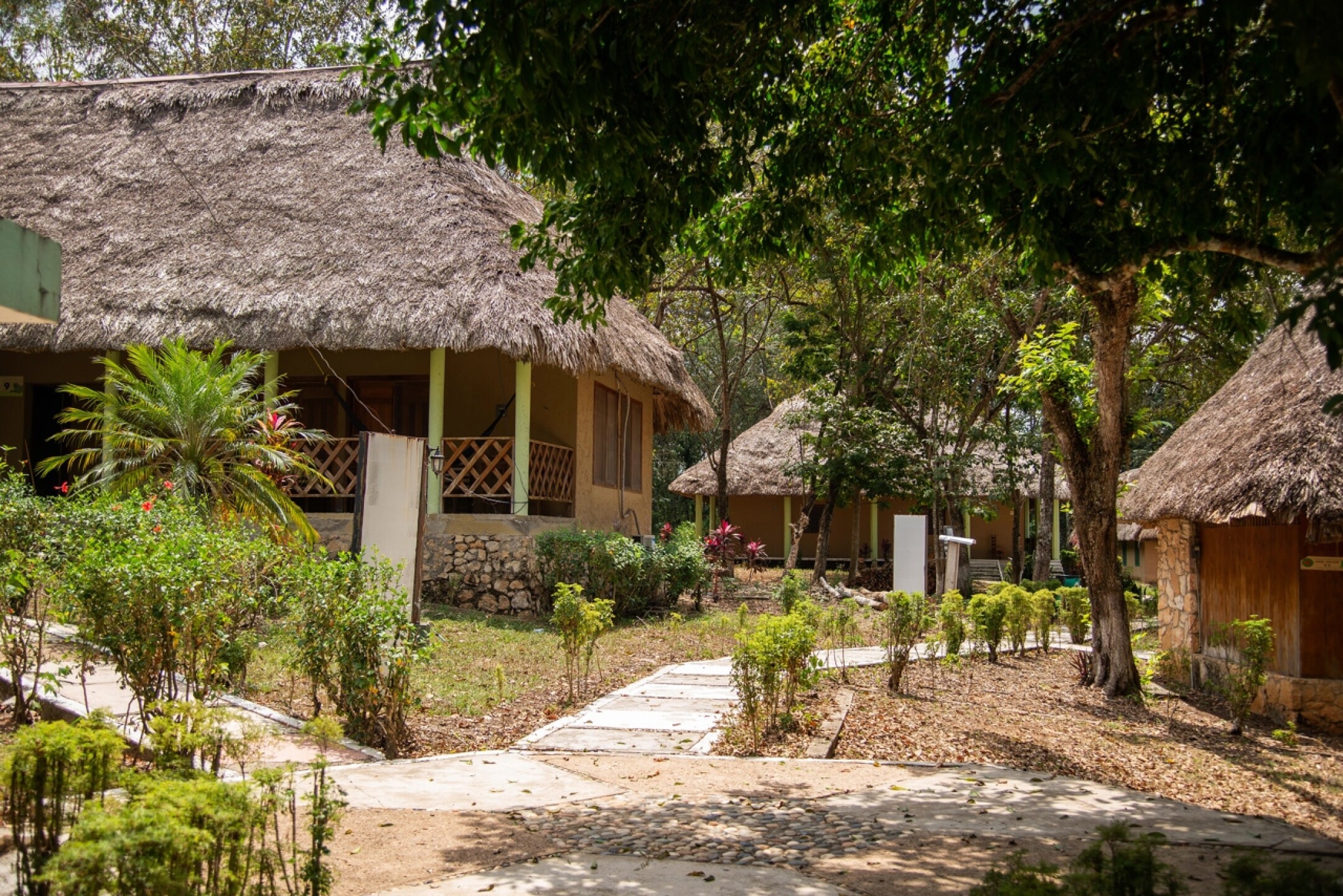 zona-arqueologica-yaxchilan-efe