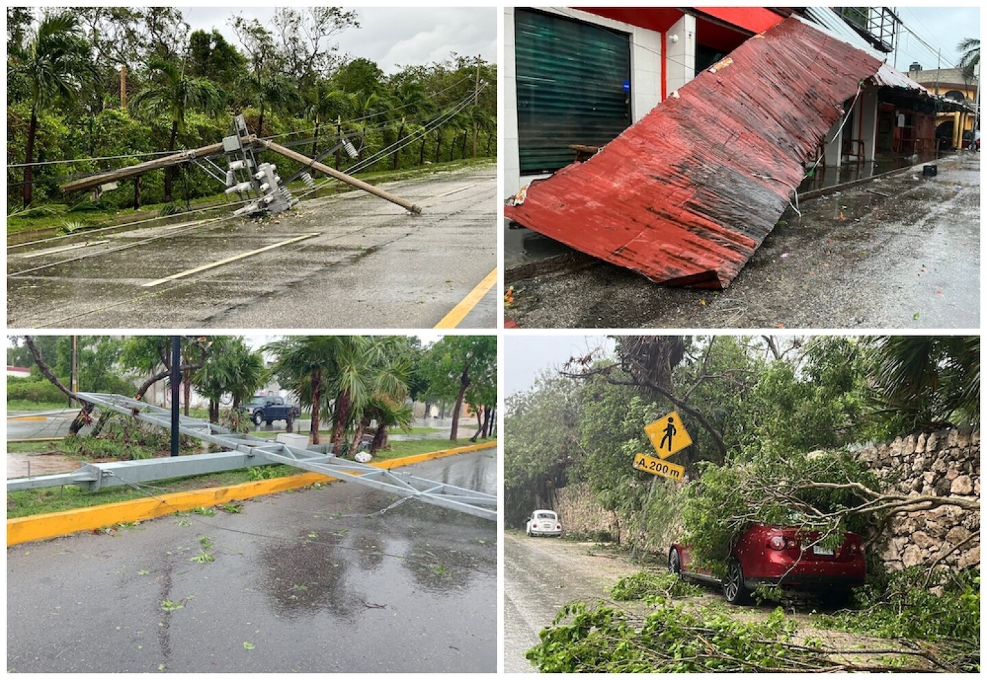 beryl-quintanaroo.jpg