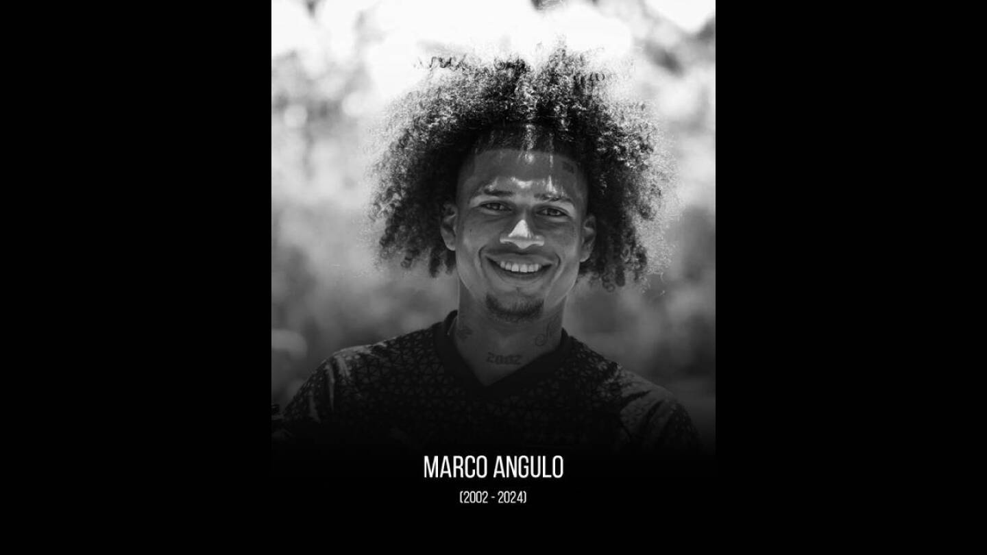 fallecio marco angulo