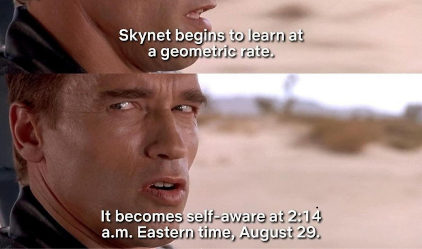 Skynet -29 agosto