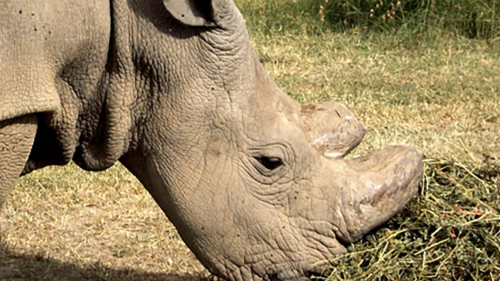 Captura de pantalla 2017-04-25 a las 4.31.46 p.m.