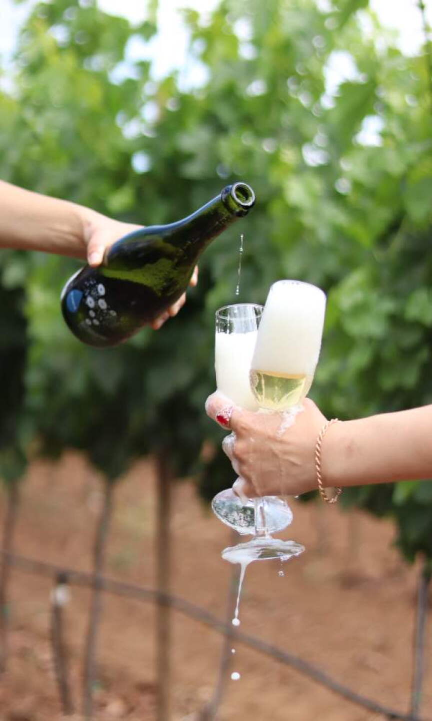 Consejos para disfrutar al máximo un cava
