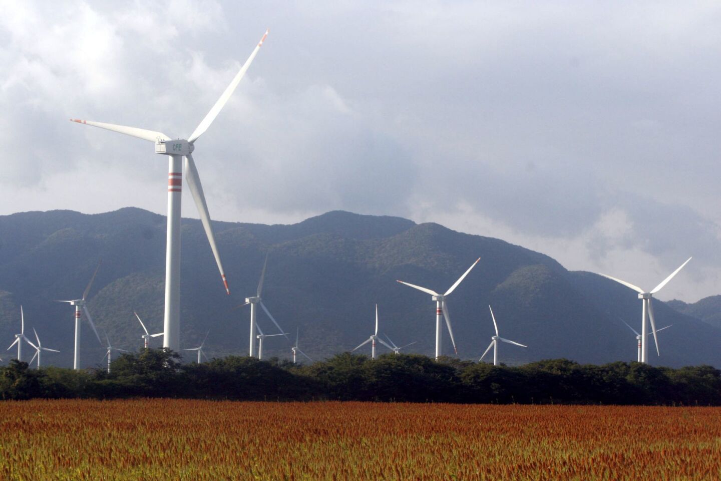 JUCHITÁN DE ZARAGOZA, OAXACA, 22ENERO2009.- La energía eólica es la energía obtenida del viento, o sea, la energía cinética generada por efecto de las corrientes de aire, y que es transformada en otras formas útiles para las actividades humanas. En la actualidad, la energía eólica es utilizada principalmente para producir energía eléctrica mediante aerogeneradores. Por lo que el gobierno federal ha emprendido una serie de proyectos de energía renovable como la Central de Energía Eólica Parques Ecológicos de México que se instaló en esta comunidad oaxaqueña. El Jefe del Ejecutivo señalo que estos proyectos permiten que no se distraigan recursos para la educación o la salud..“La energía renovable, la que no se acaba; un día se puede acabar, incluso, hasta el petróleo”, agregó. Además una vez que sean completadas las obras que se realizan en La Ventosa, sólo con el viento, sin quemar una sola gota de petróleo se va a generar casi tanta electricidad como la que se genera en Chiapas con las presas de Chicoasén, de Malpaso o de Peñitas y un costo por este tipo de molinos de 20 millones de pesos. FOTO: CARLOS SALINAS ENRIQUEZ/CUARTOSCURO.COM