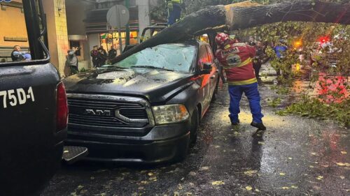 lluvia CDMX caída de árboles