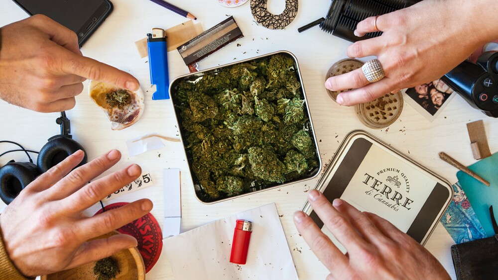 cannabis
