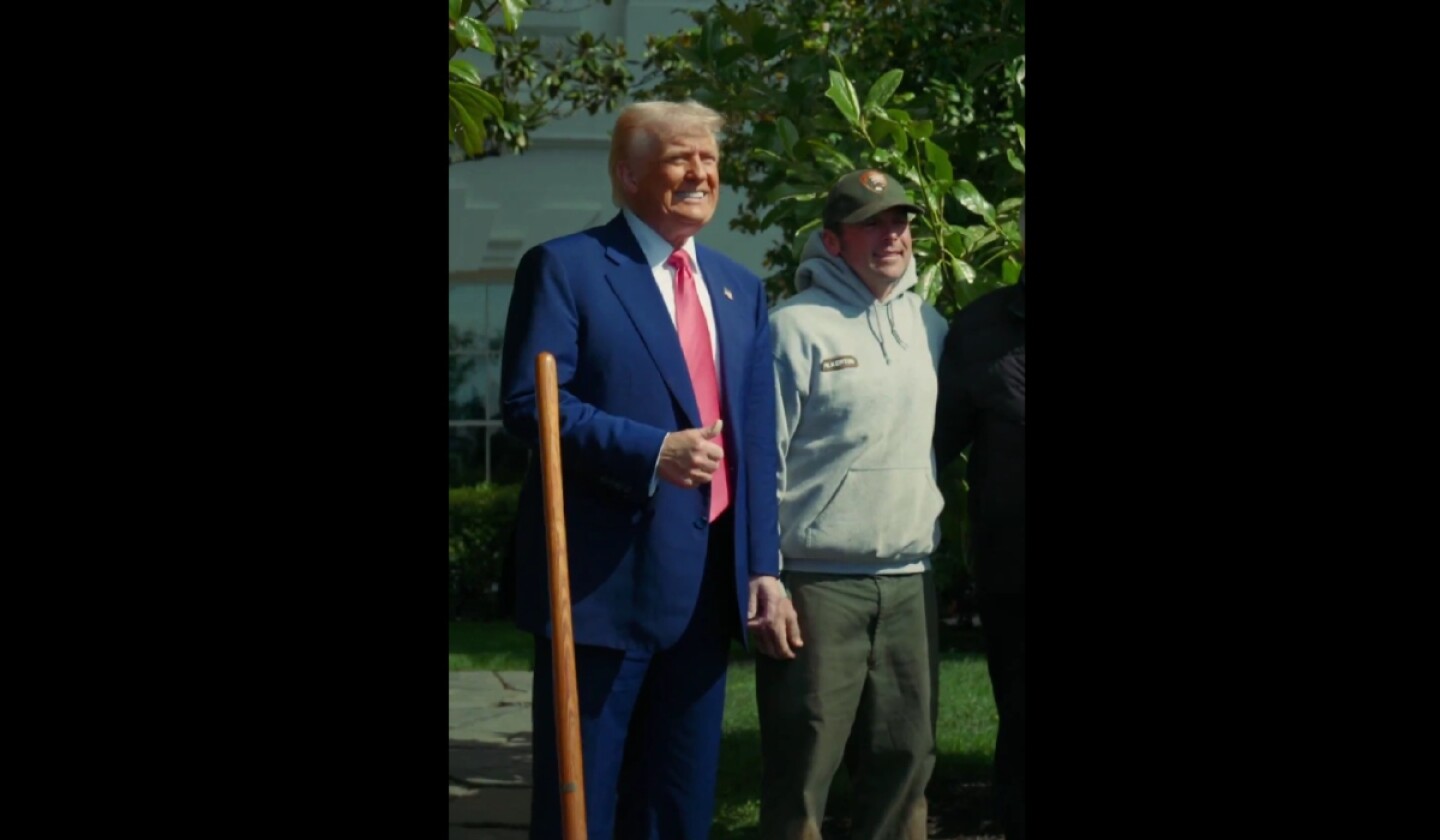 Donald Trump.jpg