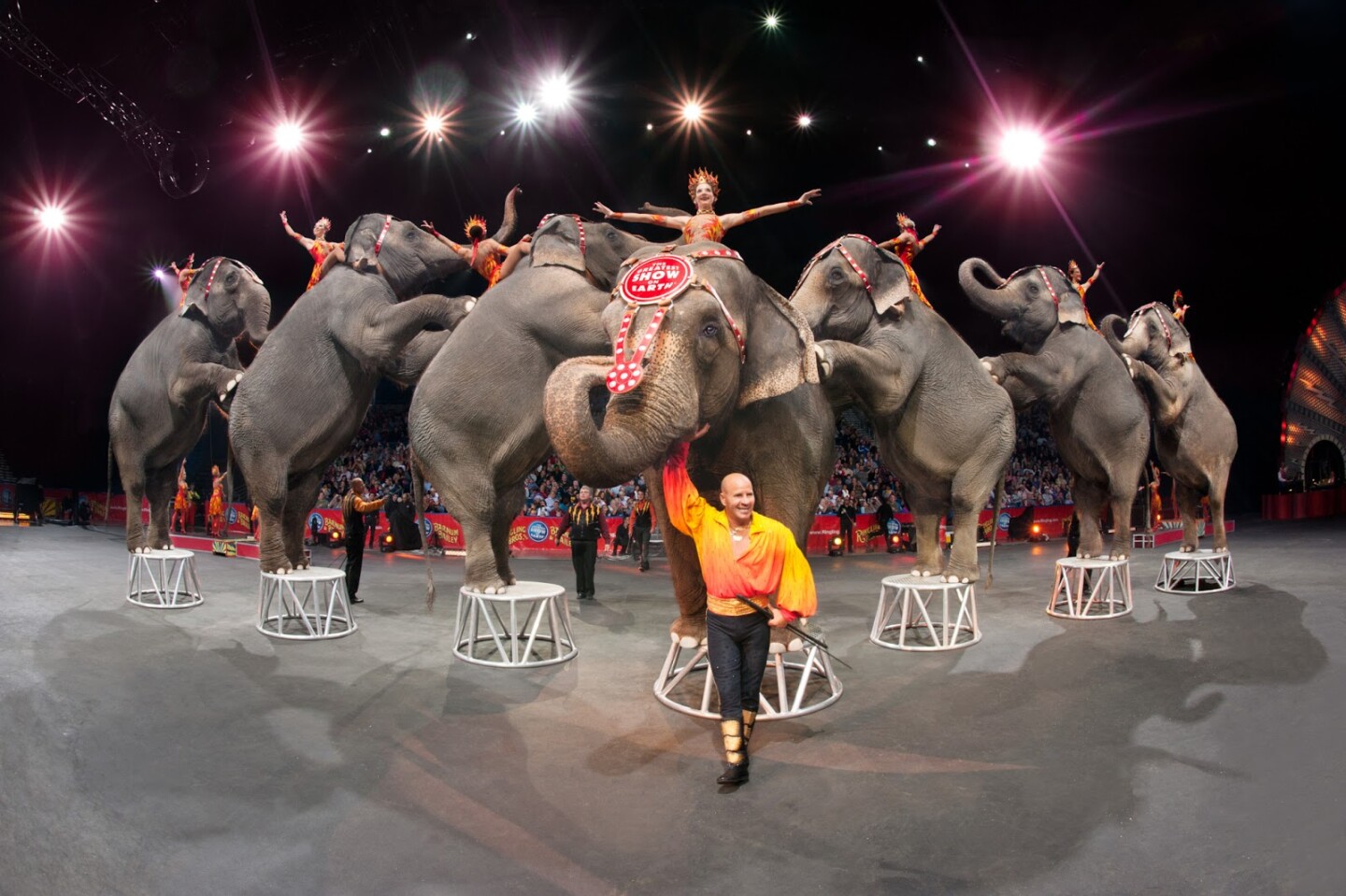 ringling+brothers