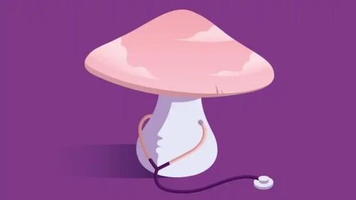 recetar_psicodélicos_psilocibina_depresión_enfermedades_mentales